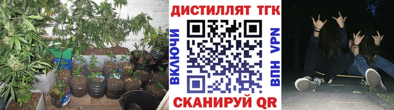 Купить где  Буйнакск  Дистиллят ТГК жижа 