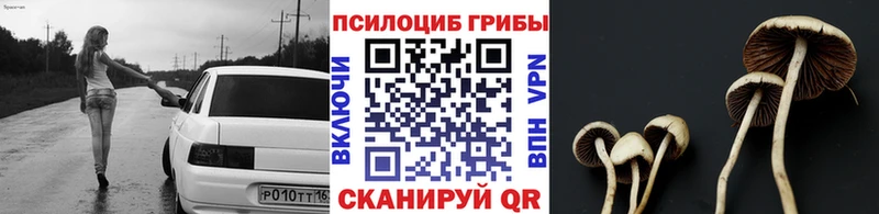 Галлюциногенные грибы Magic Shrooms  Купить закладки  Буйнакск 