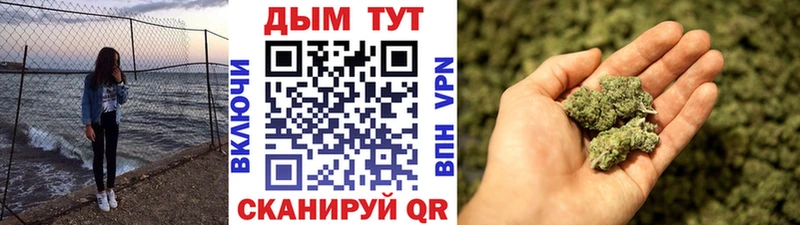 Бошки Шишки семена  Купить где  Буйнакск 